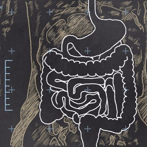 Download Understanding Gut Health