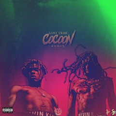 Cocoon (Remix)