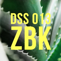 DSS 013 | ZBK