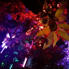 Dimitri Dilano - I Love Punx 03.09.16