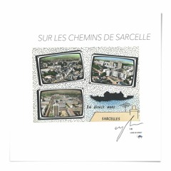 Sur Les Chemins De Sarcelle