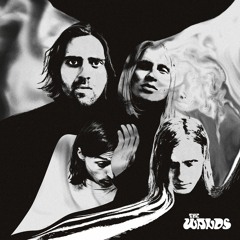 The Wands - Faces