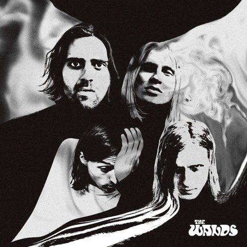 The Wands - Faces