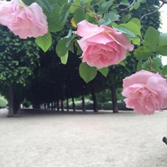 هذا الصباح يقول: كيف تتحكم بمشاعرك.. #سناب_شات