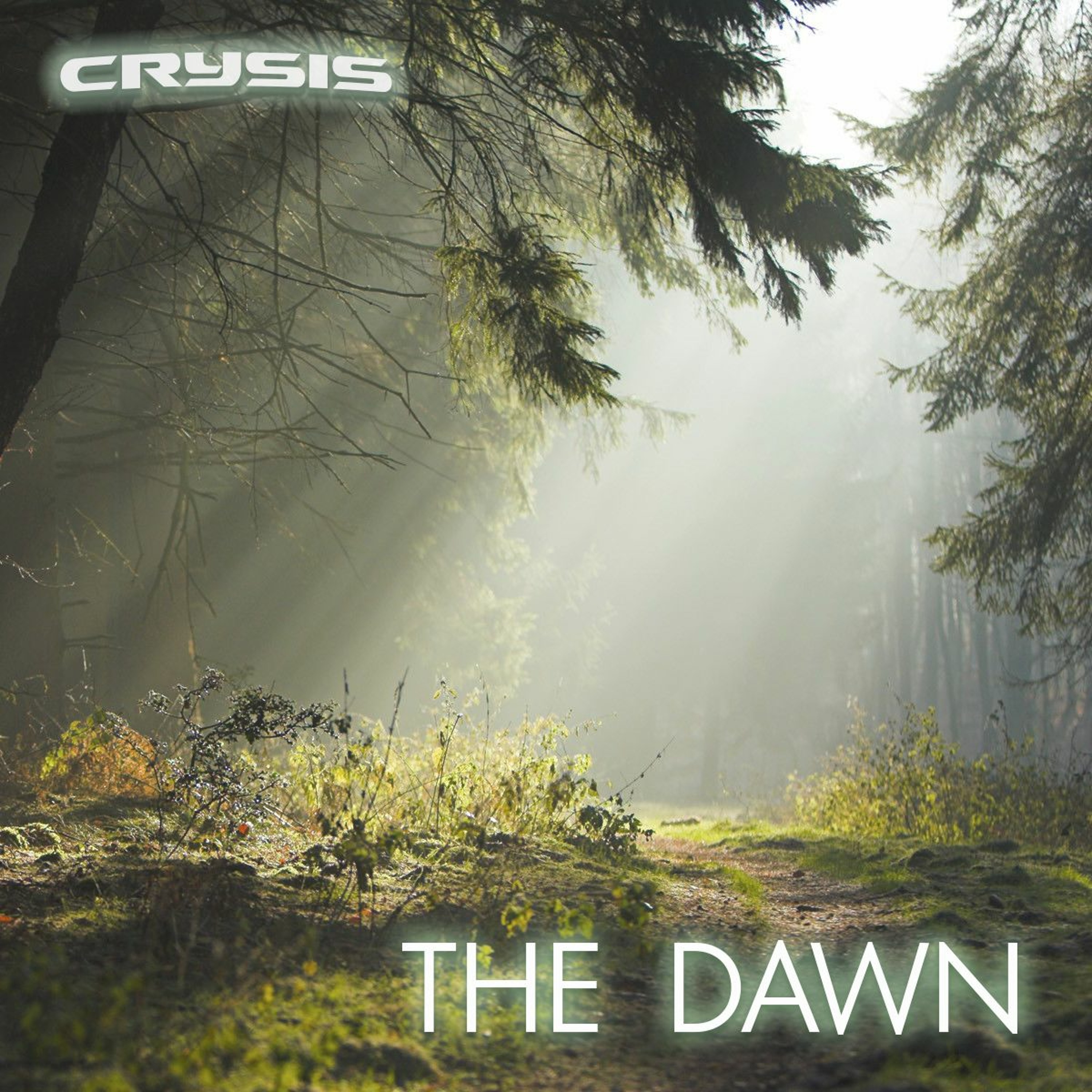The Dawn episode artwork