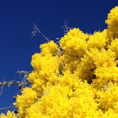 Rejection - Makayla (Balga 2015)