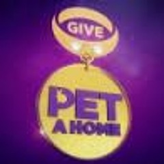 Give A Pet A Home (ITV) theme