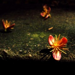 Nego Célio - Abra Seu Coração  (Prod.Plock)