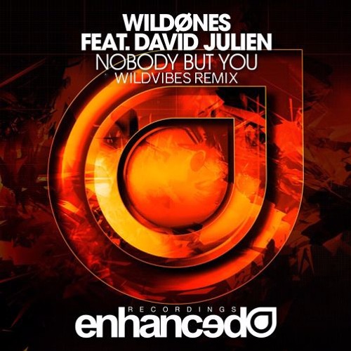 WildOnes Feat. David Julien - Nobody But You (WildVibes Remix)