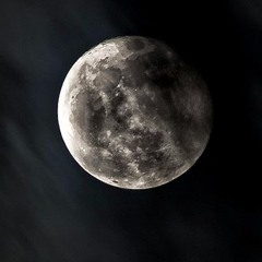 Shakedown - At night (Prio Remix)