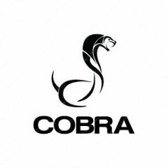 Raver Horse - Cobra (Original Mix)