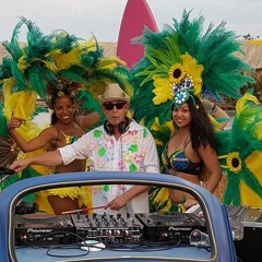 Rihanne - We Found Love Official Remix ft. DJ Casey D