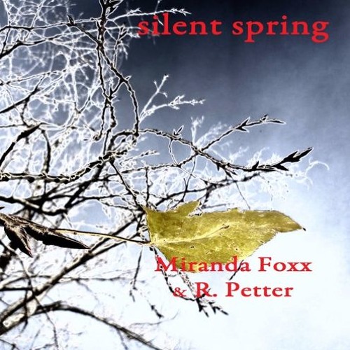 Silent Spring with Rüdiger Petter