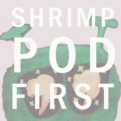 Shrimp Pod 1