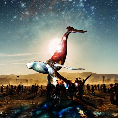 Quilici Live On Galactic Jungle Fleet Burning Man 2016