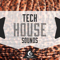Tech House Sounds [10 Construction Kits, Spire / NI Massive Presets, MIDI]