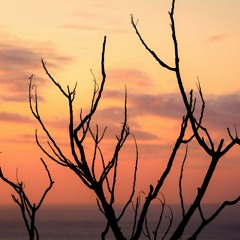 Ian Friday pres. Anto Vitale - Theorema Del Faya (Tea Party Vocal).mp3