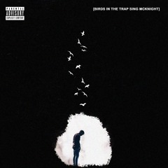 Travis Scott - Lose ft. Cassie (flashflip)