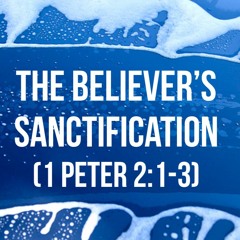 The Believer's Sanctification (1 Peter 2:1-3) - Bro. Brandon G. B.