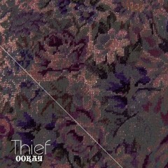 Ookay - Thief (Distonix Remix)