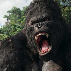 King Kong Roar - Sepe