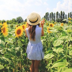 field of flowers