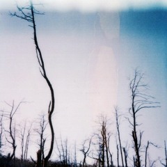 A Trip On A Lost Train