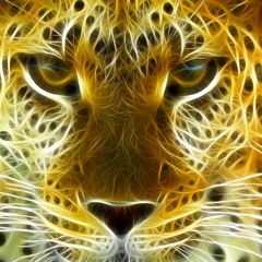 Shamanic