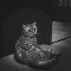 "Sin música, la vida sería un error" (Vinyl)