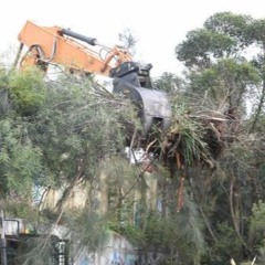 702 ABC Sydney: Colin Hesse protests WestConnex destruction of rare Ironbark bushland