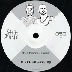 The Deepshakerz - U Got To Live (Nils Hoffmann Remix)