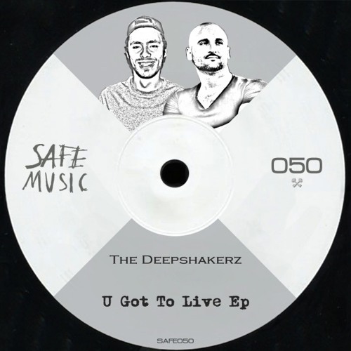 The Deepshakerz - U Got To Live (Nils Hoffmann Remix)