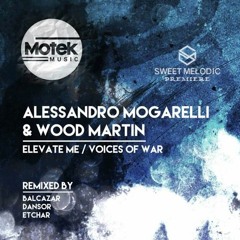 PREMIERE : Alessandro Mogarelli & Wood Martin - Voices Of War (Etchar Voices of Peace Remix) [Motek]