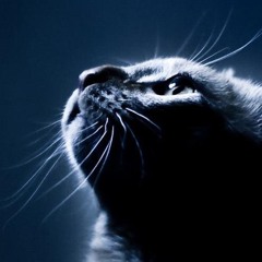 Heinrich Hoffmann - Dreamworld (Slow Edit)