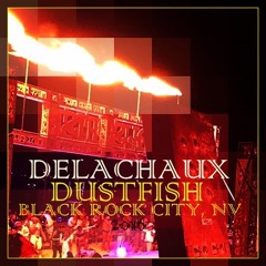 LIVE from DUSTFISH, BURNING MAN 2016