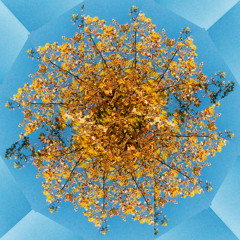 approaching stillness