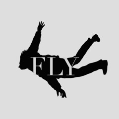 B. Hasemeyer & The Quiet One -- FLY