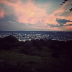 Petal - song to say goodbye