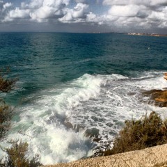 Jetsam - Surf