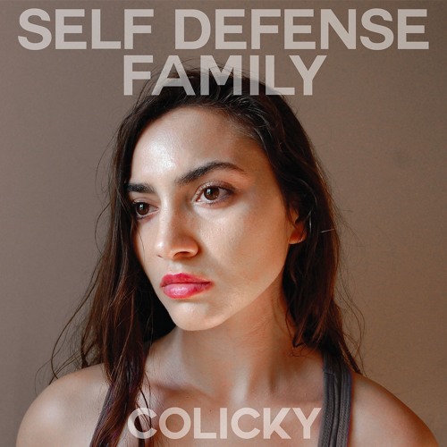 Self Defense Family - "All True At The Same Time"