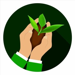 miinkaanenhs  -  seedling