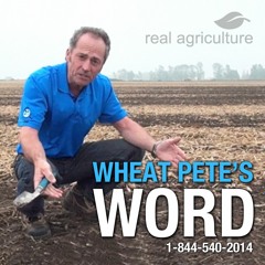 Wheat Pete's Word - Ep 73 - September 7, 2016
