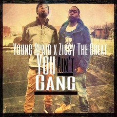 @YoungSpaid x Ziggy - You Aint Gang