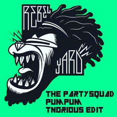 The Partysquad - Pum Pum (Tnorious EDIT)