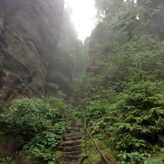 Kia - Aromatics in White (WORK IN PROGRESS)