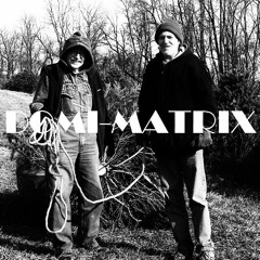 Domi-Matrix