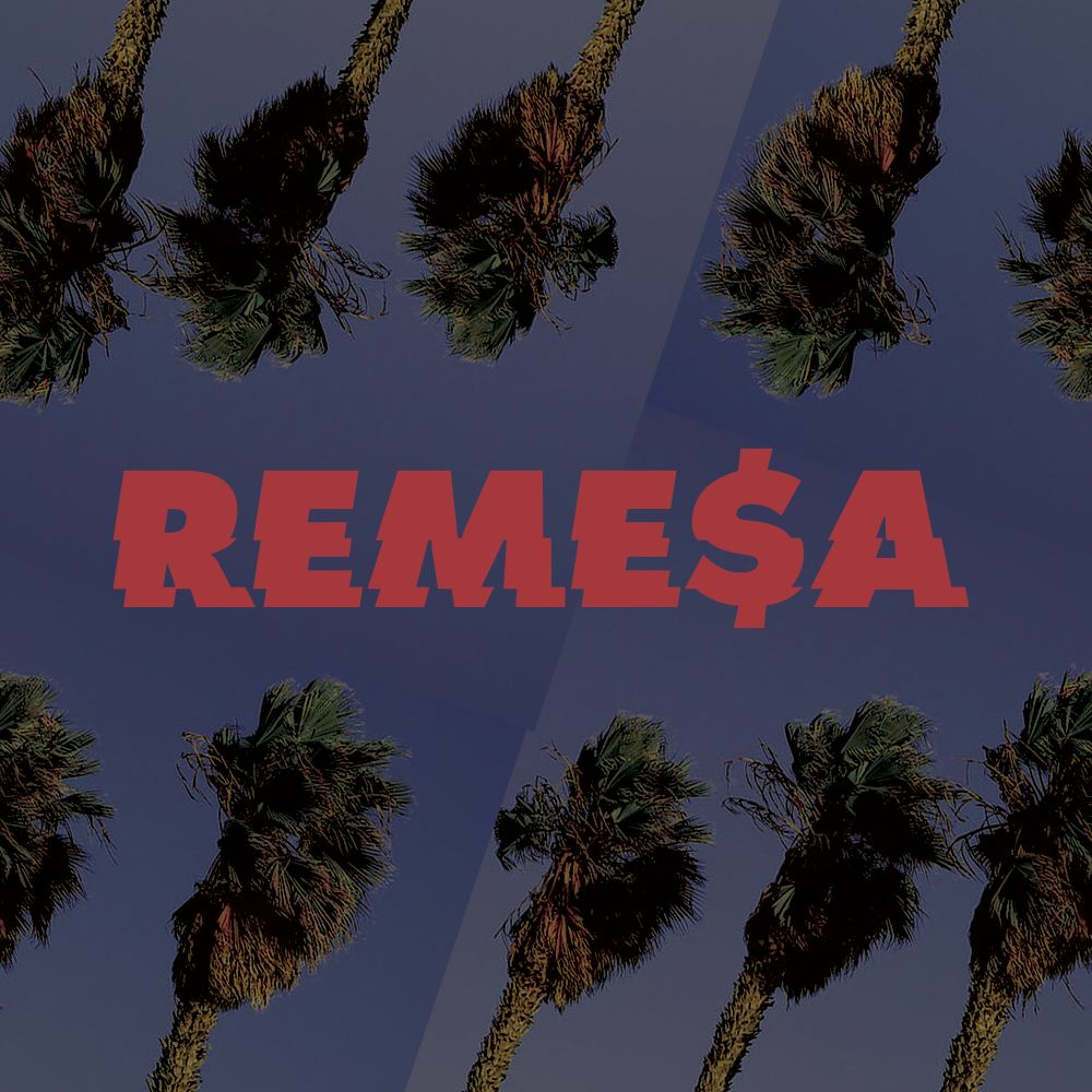 REMESA