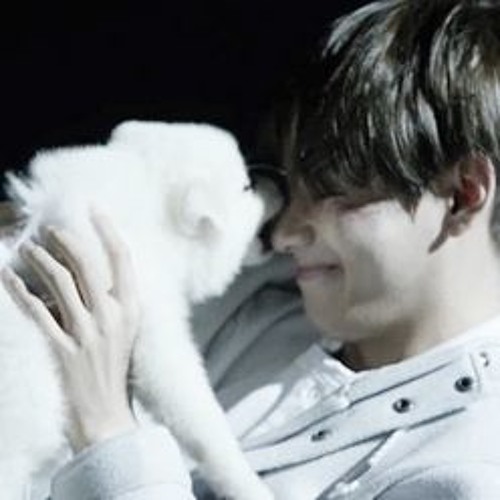 Taehyung WINGS Teaser - Stigma (Empty arena ver.)