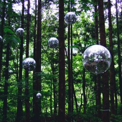 Skogsdisco