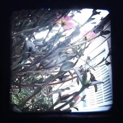 whoAmI
